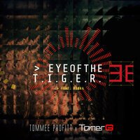 Tommee Profitt feat. FJØRA - Eye Of The Tiger (TOMER G & MARKO Dance Version)