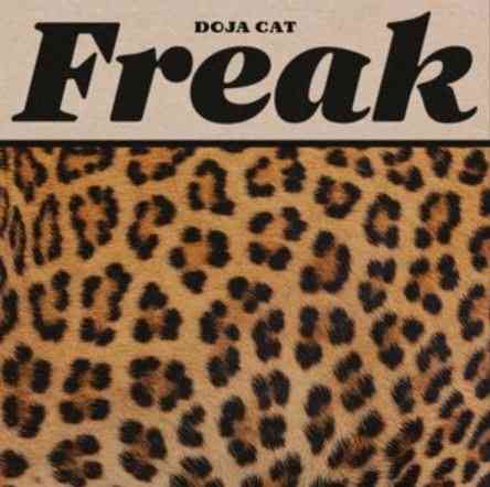 Doja Cat - Freak » Музонов.Нет! Скачать Музыку Бесплатно В Формате.